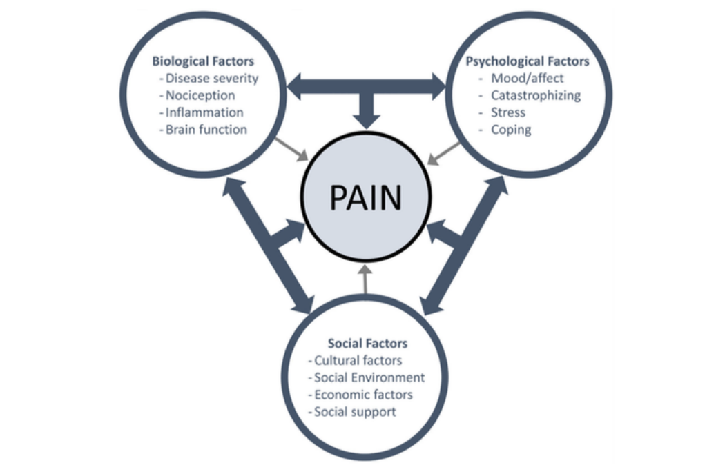 Biopsychosocial Model Of Pain
